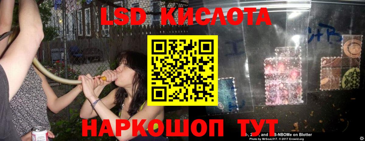 ЛСД экстази ecstasy Сегежа