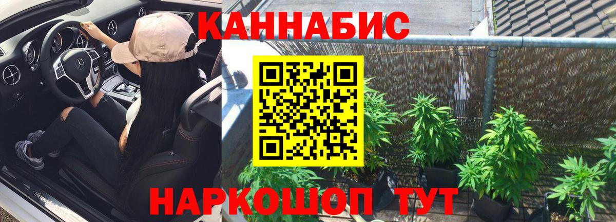 Бошки марихуана план Сегежа